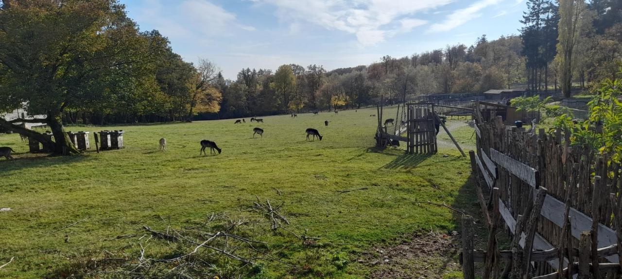 Ferienhaus Monika Villa Veitsrodt Bagian luar foto